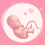 Pregnancy Tracker Week By Week