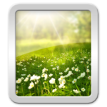Wallpapers Spring