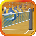 Spike the Volleyballs