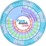Pregnancy Weeks Calculator